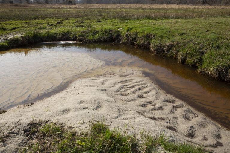 Natuurherstel en Waterbouw - natuurherstelproject referentie project - Zicht: Beekbodemverhoging natuurherstelproject