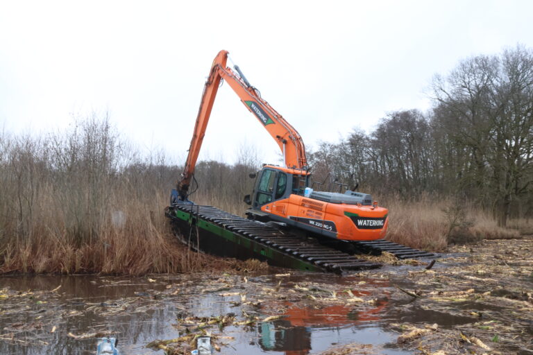 Ankeveense plassen
