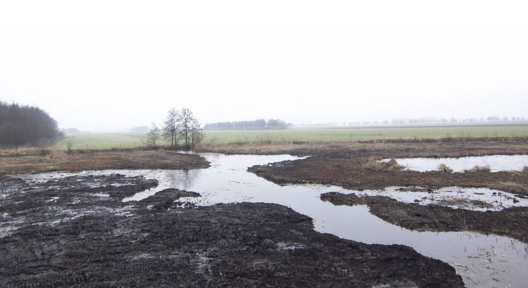 Wieden en de Weerribben2