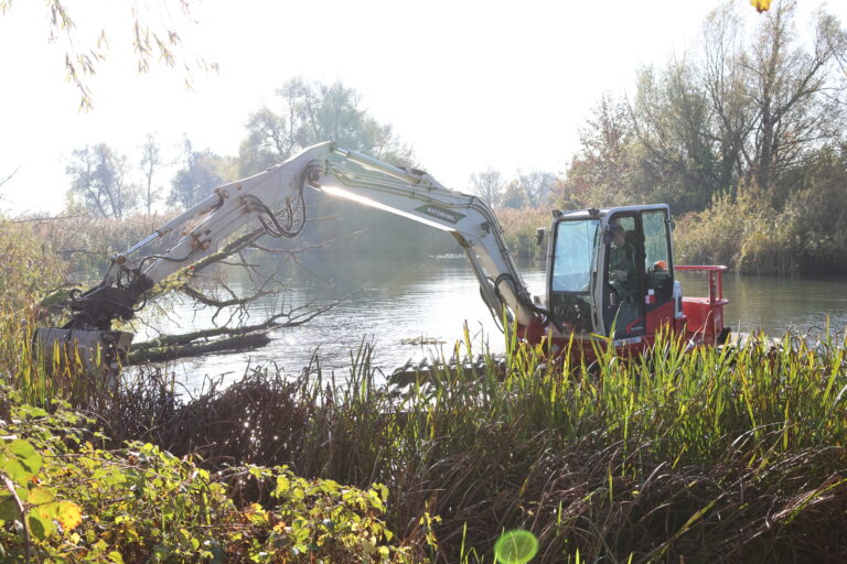 Natuurherstel en Waterbouw, Rental Referentie, Zicht: Baggerwerkzaamheden in Lobith, baggerwerkzaamheden zichtbaar vanaf oever waar riet en gras weg gebaggerd wordt