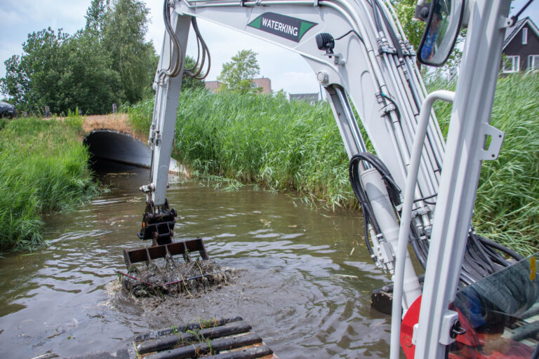 Exoten Joure Bestrijding3