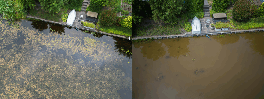 Natuurherstel en Waterbouw, Rental Referentie, Zicht: Voor en na verwijdering exoten