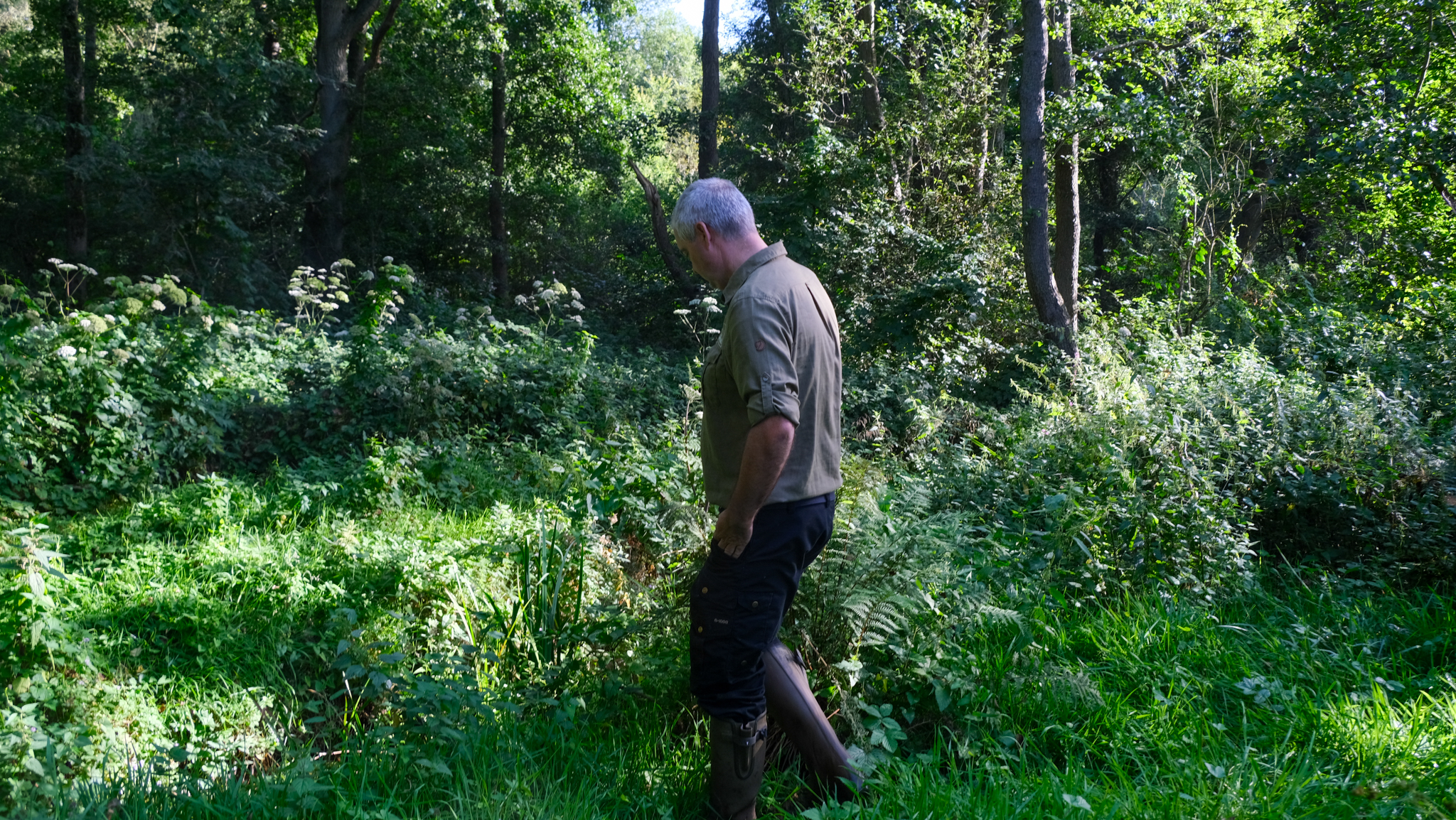 Drentsche Aa gebied, 5 jaar na bezoek, vol in groei en groen; zicht op aquatisch ecoloog Peter Paul Schollema midden in de bossen en grassen van het natuurgebied, volledig in bloei.
