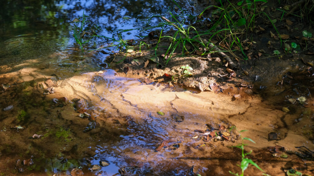 Drentsche Aa gebied, 5 jaar na bezoek, vol in groei en groen; zicht op een close-up foto van de vorming van het zand op de beek. Een deel is door de zon extra uitgelicht met eromheen afgevallen bladeren, grassprieten en verdwaalde takjes (foto landscape genomen)
