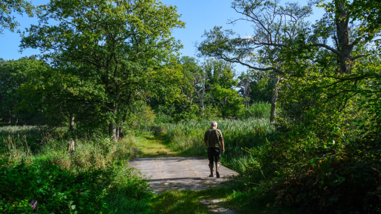 Drentsche Aa gebied, 5 jaar na bezoek, vol in groei en groen; zicht op aquatisch ecoloog Peter Paul Schollema over de houten brug tussen de bomen en bossen die vol in bloei staan van het natuurgebied