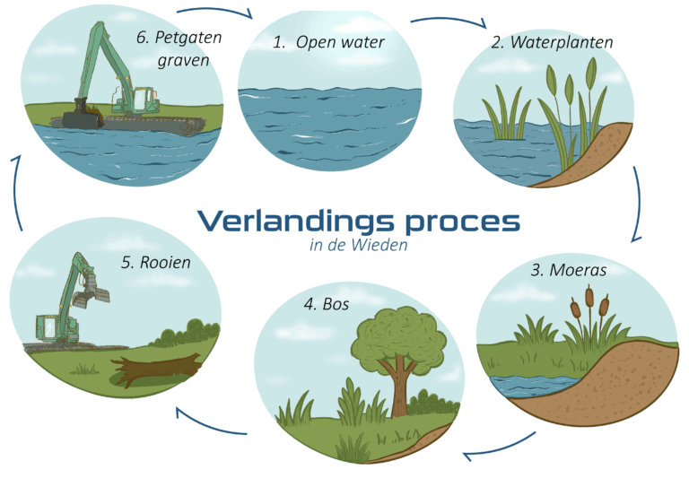 Verlandingsproces final