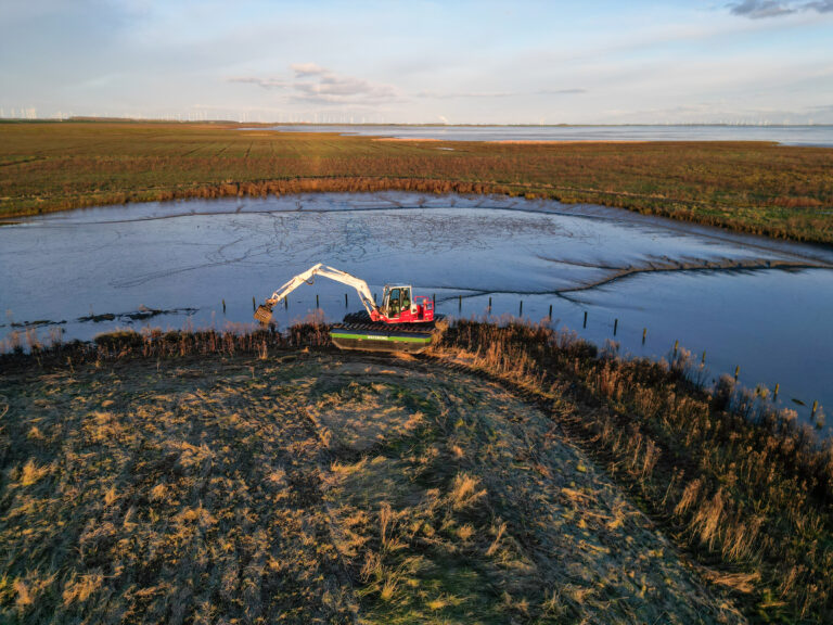 Finsterwolde landschap - closeup WK955