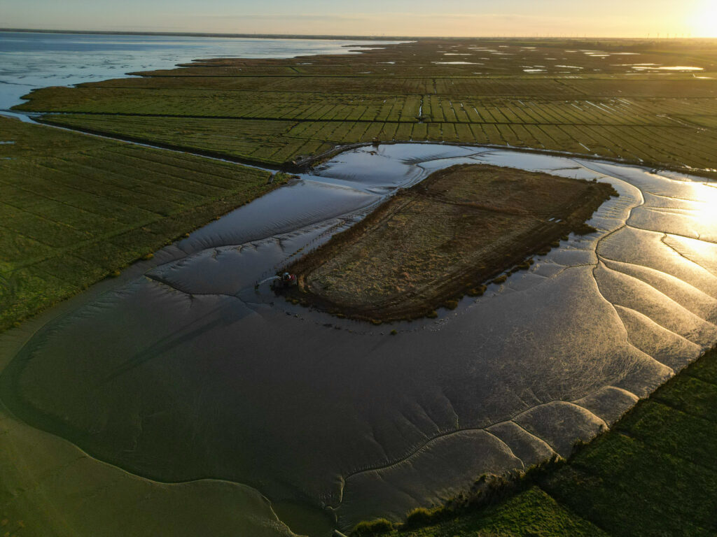 Finsterwolde landschap