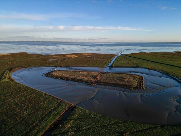 Finsterwolde landschap