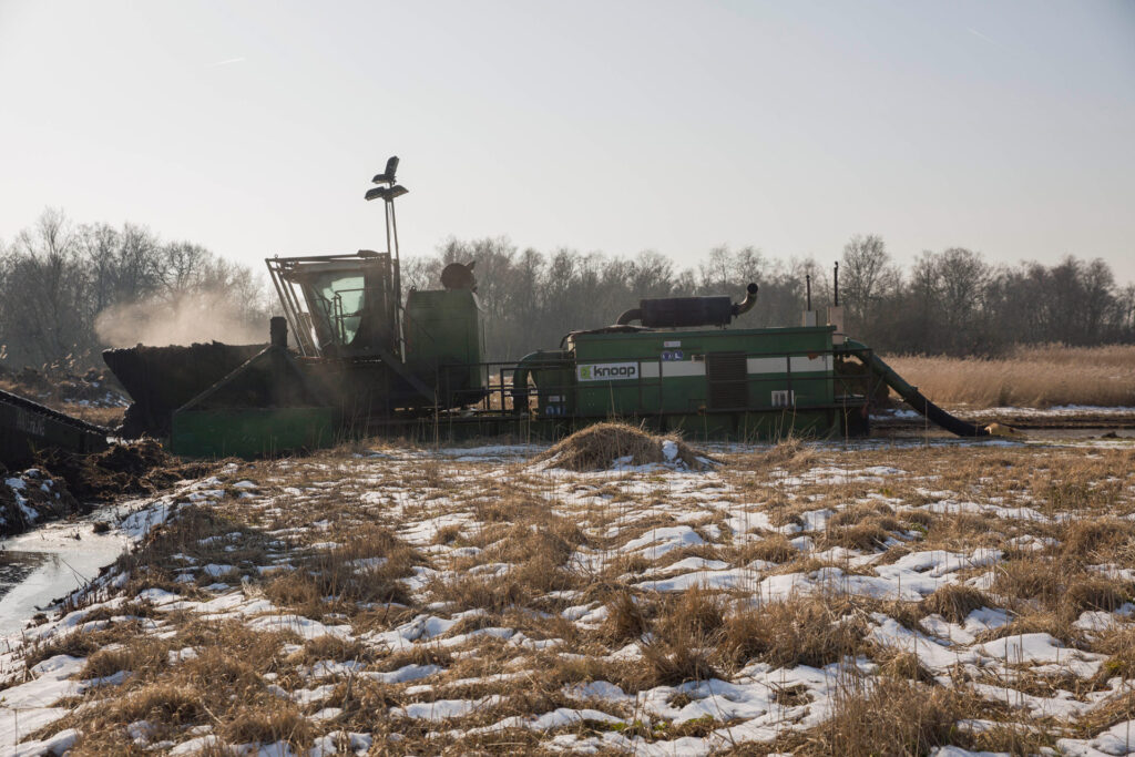 D80B0084bewerkt-1024x683